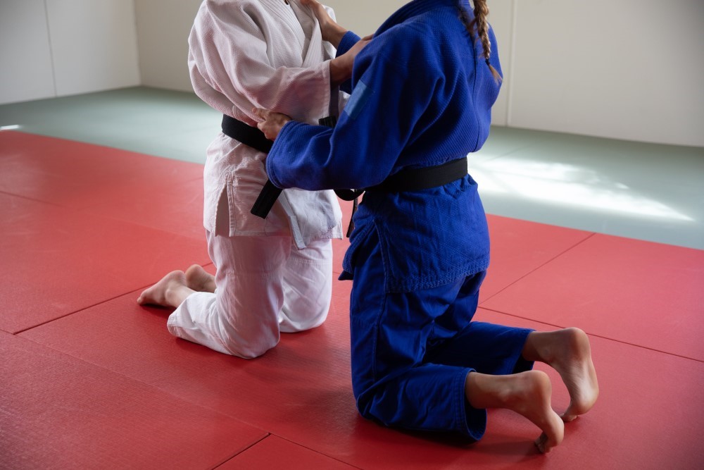 Brazilian Jiu Jitsu fbfight arti marziali torino